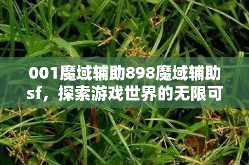 001魔域辅助898魔域辅助sf图片
