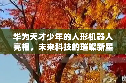 华为天才少年的人形机器人亮相图片