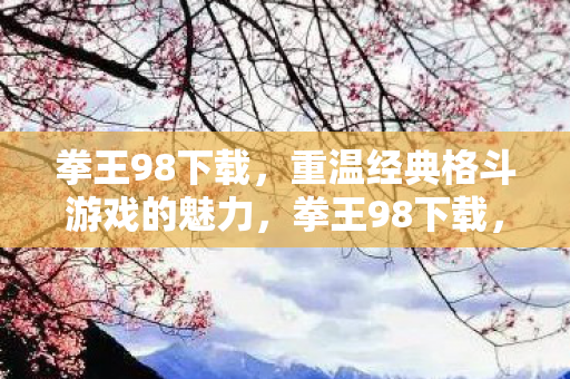 重温经典格斗游戏的魅力图片