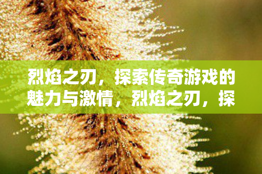 探索传奇游戏的魅力与激情图片