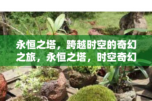 跨越时空的奇幻之旅图片