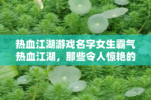 热血江湖游戏名字女生霸气热血江湖图片