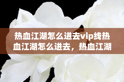 热血江湖怎么进去vip线热血江湖怎么进去图片