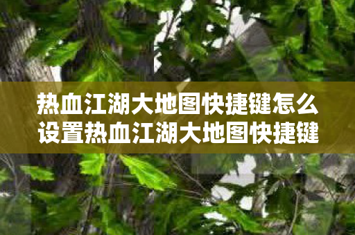 热血江湖大地图快捷键怎么设置热血江湖大地图快捷键图片