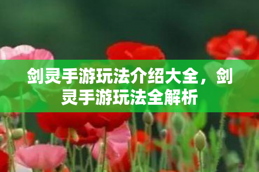 剑灵手游玩法介绍大全,剑灵手游玩法全解析 剑灵手游玩法介绍大全,剑灵手游玩法全解析