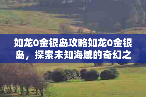 如龙0金银岛攻略如龙0金银岛图片