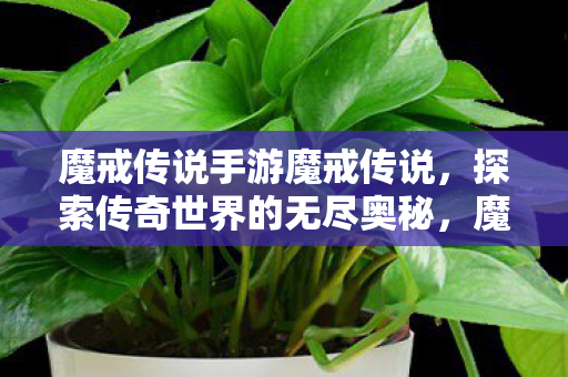 探索传奇世界的无尽奥秘图片
