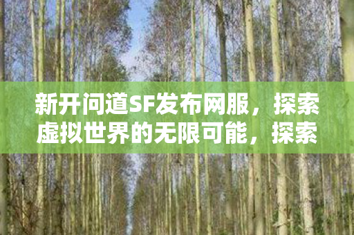 新开问道SF发布网服,探索虚拟世界的无限可能,探索虚拟世界,新开问道SF发布网服等你来体验 新开问道SF发布网服,探索虚拟世界的无限可能,探索虚拟世界,新开问道SF发布网服等你来体验