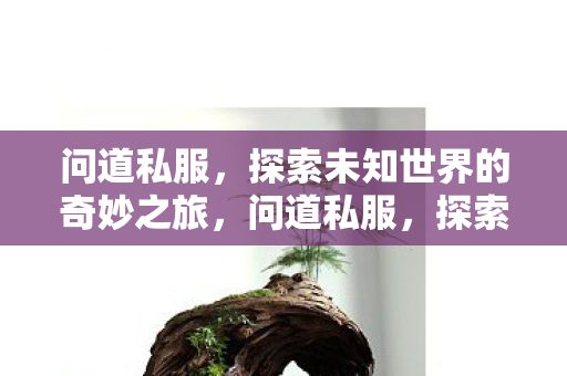 问道私服，探索未知世界的奇妙之旅，问道私服，探索未知世界的奇妙之旅