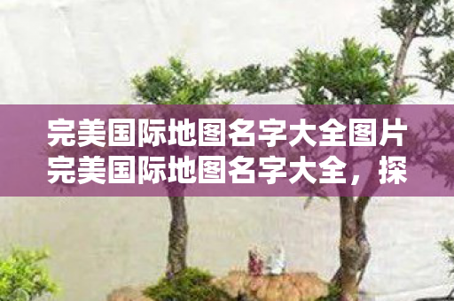 完美国际地图名字大全图片完美国际地图名字大全图片
