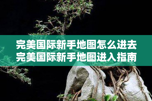 完美国际新手地图怎么进去完美国际新手地图进入指南图片