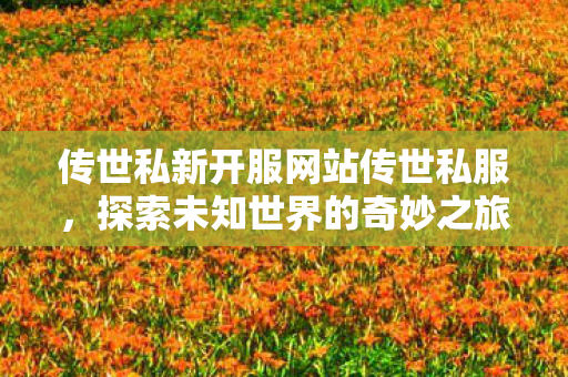 传世私新开服网站传世私服图片