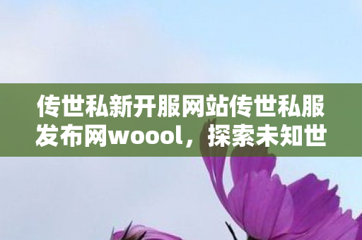 传世私新开服网站传世私服发布网woool图片
