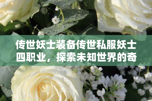 传世妖士装备传世私服妖士四职业图片