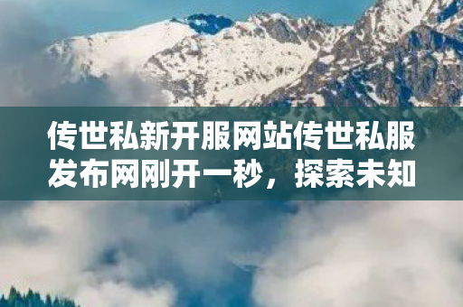 传世私新开服网站传世私服发布网刚开一秒图片