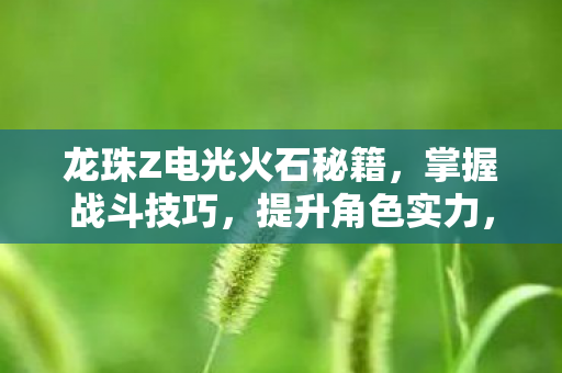 龙珠Z电光火石秘籍图片