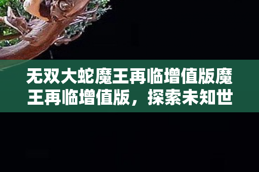 无双大蛇魔王再临增值版魔王再临增值版，探索未知世界的奇幻之旅，无双大蛇魔王再临增值版，探索未知世界的奇幻之旅