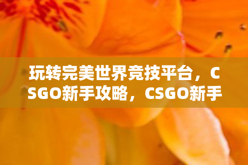 玩转完美世界竞技平台图片