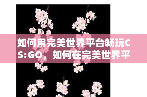 如何用完美世界平台畅玩CS图片