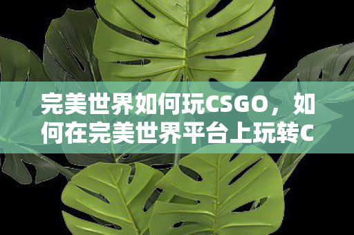 如何在完美世界平台上玩转CSGO图片