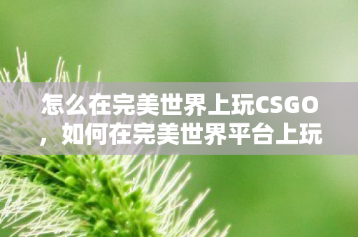 如何在完美世界平台上玩转CSGO图片