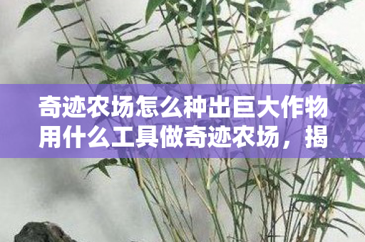 奇迹农场怎么种出巨大作物用什么工具做奇迹农场图片