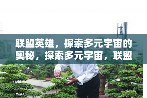 联盟英雄的使命与奥秘图片