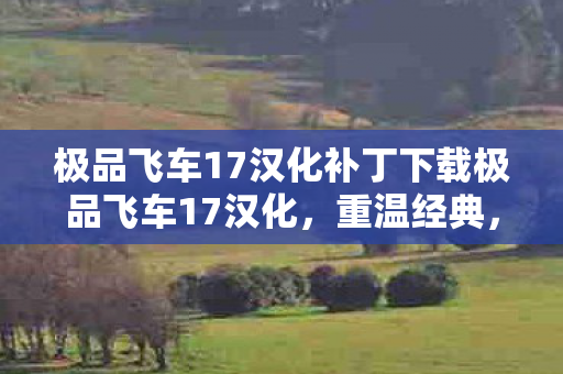 极品飞车17汉化补丁下载极品飞车17汉化图片
