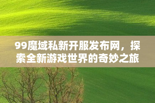 探索全新游戏世界的奇妙之旅图片
