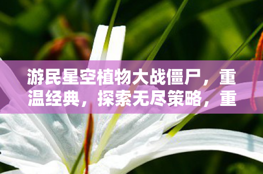 游民星空植物大战僵尸图片