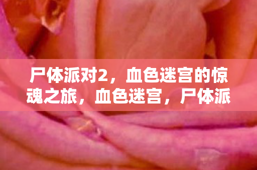 尸体派对2的惊魂之旅图片