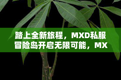 MXD私服冒险岛开启无限可能图片