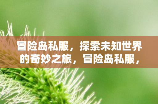 开启探索未知世界的奇妙之旅图片