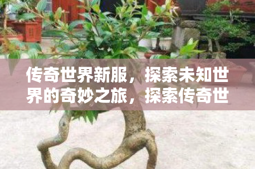 探索未知世界的奇妙之旅图片