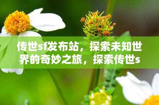 探索未知世界的奇妙之旅图片
