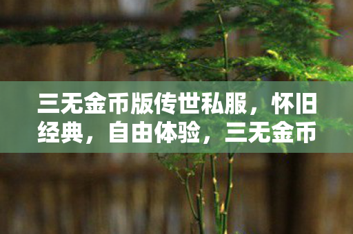 三无金币版传世私服图片