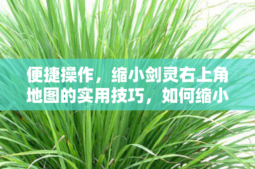 缩小剑灵右上角地图的实用技巧图片