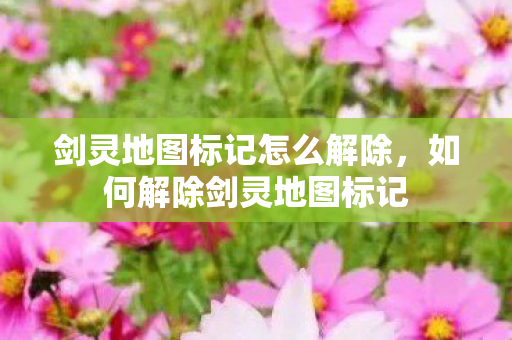 剑灵地图标记怎么解除图片