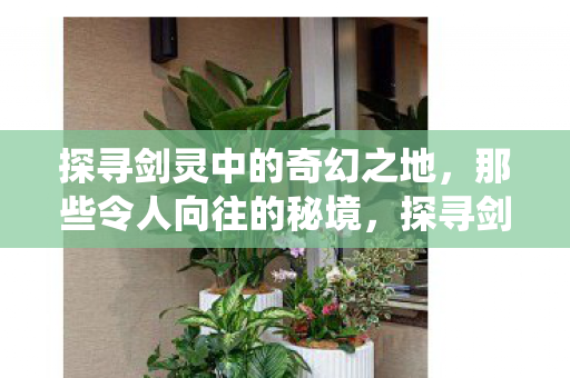 探寻剑灵中的奇幻之地图片