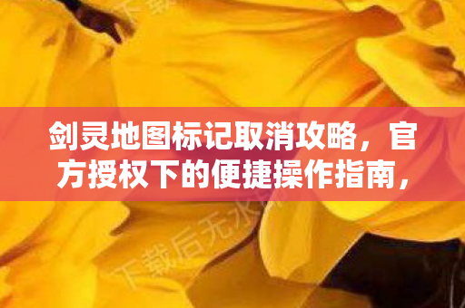 官方授权下的便捷操作指南图片