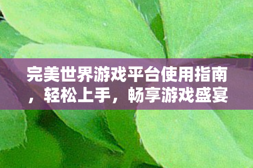完美世界游戏平台使用指南图片