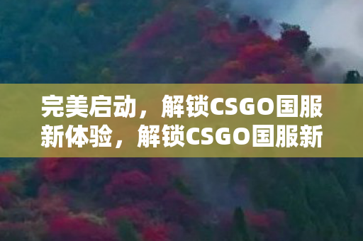 解锁CSGO国服新体验图片