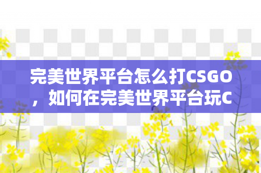 如何在完美世界平台玩CSGO图片