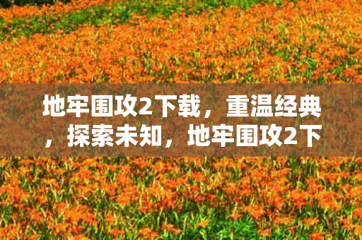 地牢围攻2下载图片