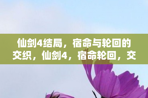 宿命与轮回的交织图片