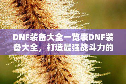DNF装备大全一览表DNF装备大全图片