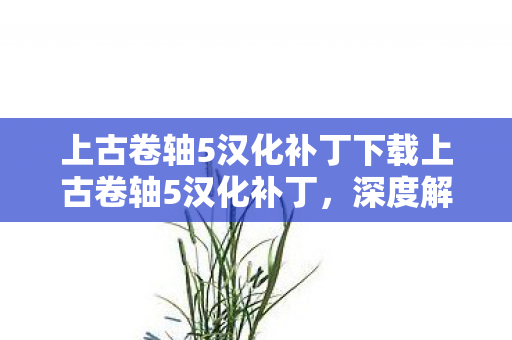 上古卷轴5汉化补丁下载上古卷轴5汉化补丁图片