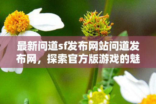 最新问道sf发布网站问道发布网,探索官方版游戏的魅力与乐趣,探索官方版游戏魅力与乐趣,最新问道sf发布网站问道发布网 最新问道sf发布网站问道发布网,探索官方版游戏的魅力与乐趣,探索官方版游戏魅力与乐趣,最新问道sf发布网站问道发布网