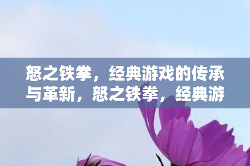 怒之铁拳,经典游戏的传承与革新,怒之铁拳,经典游戏的传承与革新之路 怒之铁拳,经典游戏的传承与革新,怒之铁拳,经典游戏的传承与革新之路