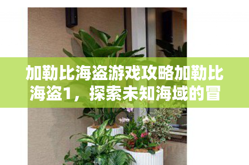 加勒比海盗游戏攻略加勒比海盗1图片